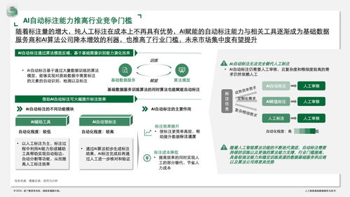 德勤咨询 人工智能基础数据服务白皮书