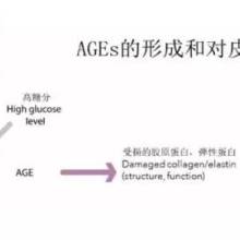 白山市浑江区蜜蜜健康咨询服务中心 供应产品